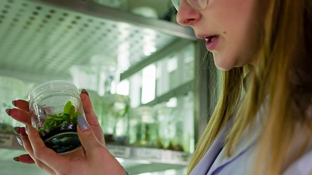 生物技术实验室科学家视频素材画面4