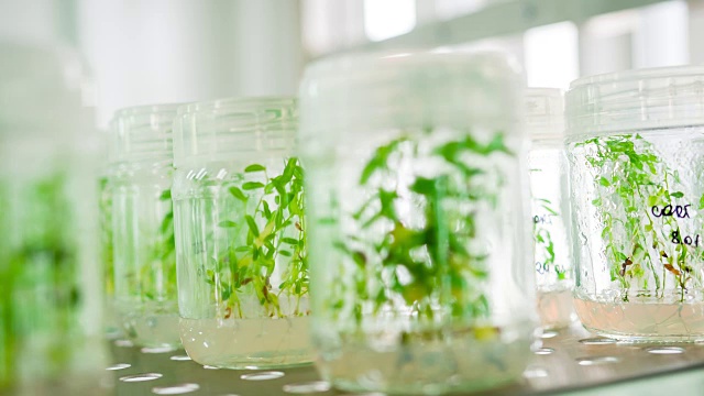 生物技术实验室视频素材画面1