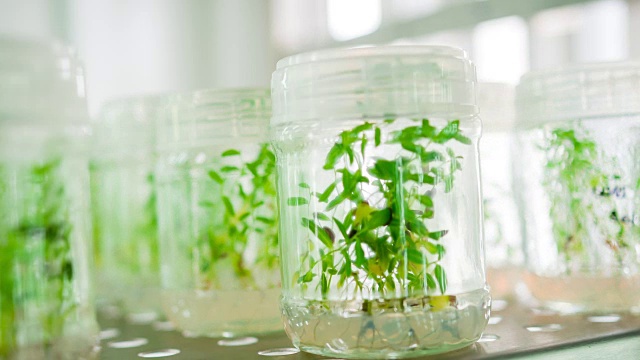 生物技术实验室视频素材画面2