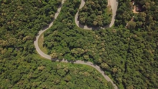 穿过树林的道路鸟瞰图，视频素材画面1