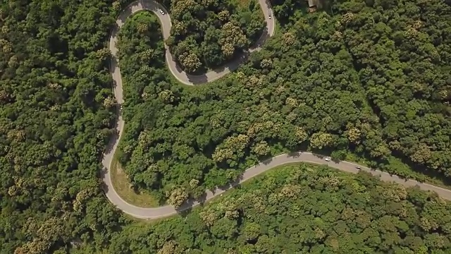 穿过树林的道路鸟瞰图，视频素材画面2