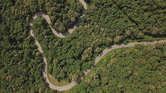 穿过树林的道路鸟瞰图，视频素材画面3