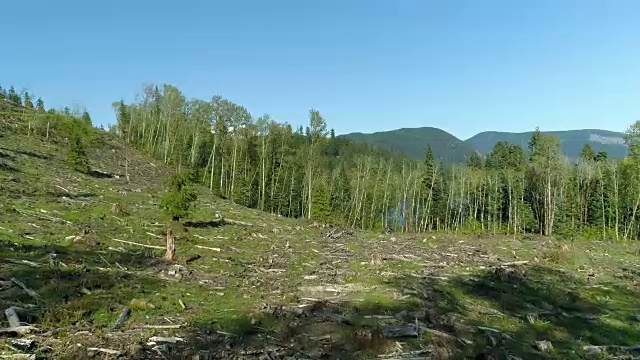 蓝天下的田野风景视频素材