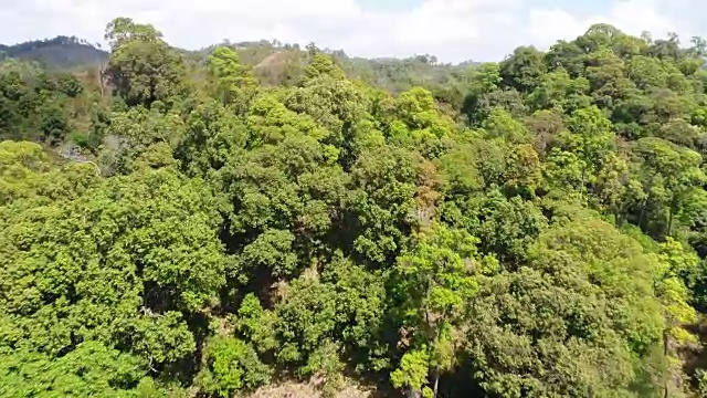 空中飞过美丽的山脉视频素材