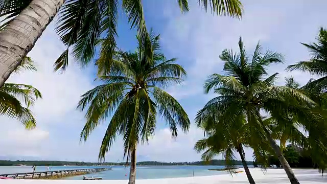 泰国Koh Kham的椰子树，热带海滩和天空视频素材