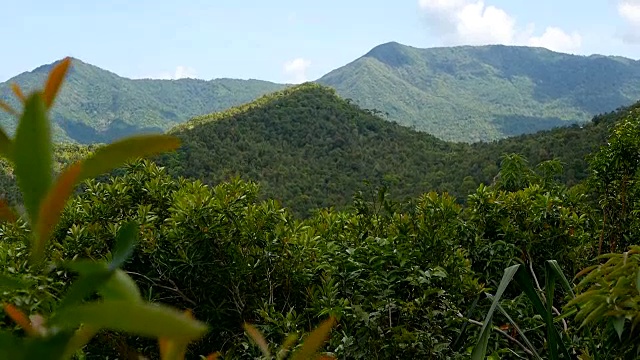 热带雨林景观与火山之上郁郁葱葱的绿色丛林异国情调的岛屿。视频素材