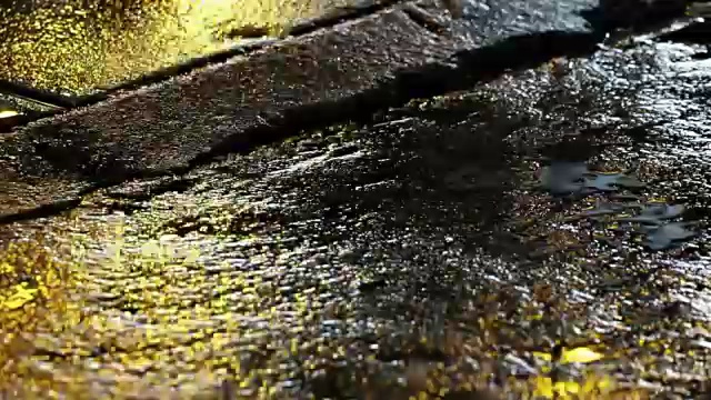 在潮湿的街道上，无缝的警示灯反射环视频素材画面1