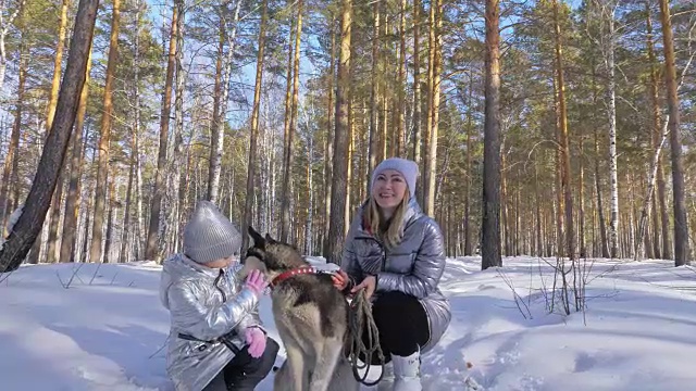 美丽的女人和小孩走在冬天的森林与哈士奇狗。快乐的年轻母亲和女儿在冬季公园与哈士奇狗。雪林中的西伯利亚哈士奇。视频素材画面1