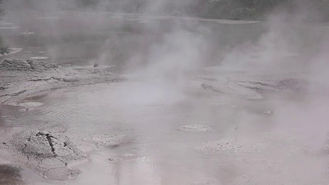 沸腾的泥浆池在罗托鲁瓦新西兰视频素材