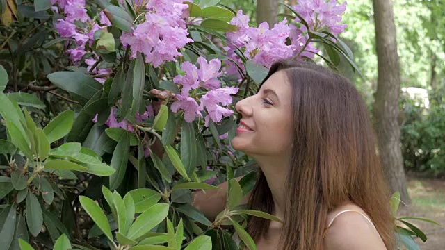 一个年轻漂亮的女人闻着朵朵紫色的花视频素材画面2