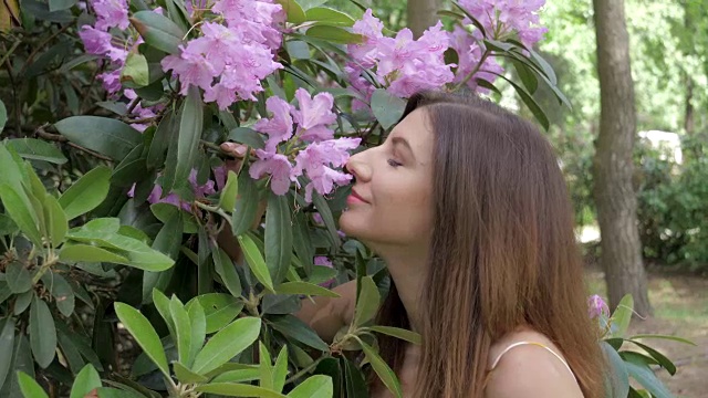 一个年轻漂亮的女人闻着朵朵紫色的花视频素材画面4