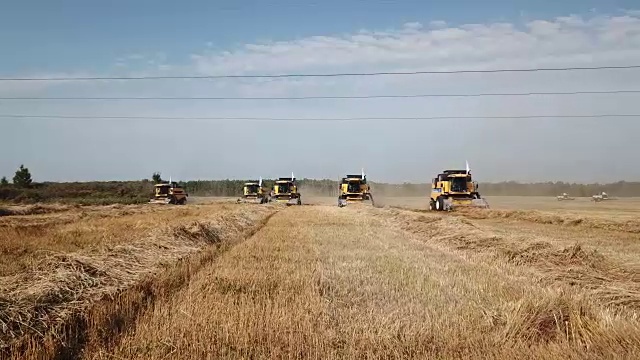 收割机收割小麦视频素材画面1
