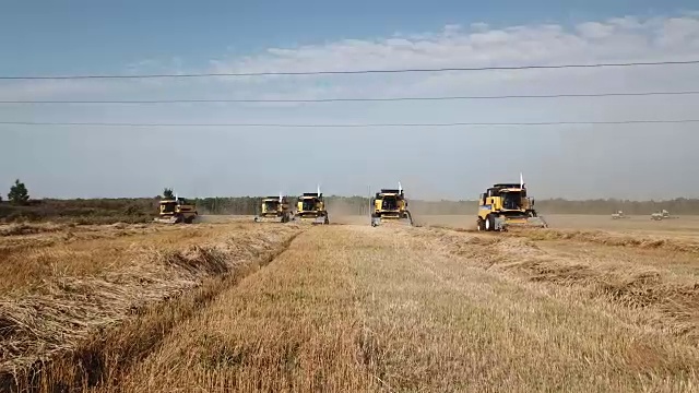 收割机收割小麦视频素材画面3