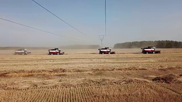 收割机收割小麦视频素材画面1