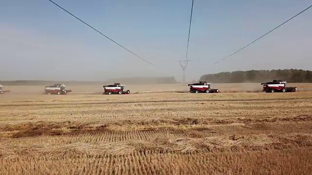 收割机收割小麦视频素材画面2