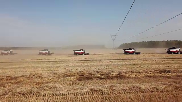 收割机收割小麦视频素材画面3