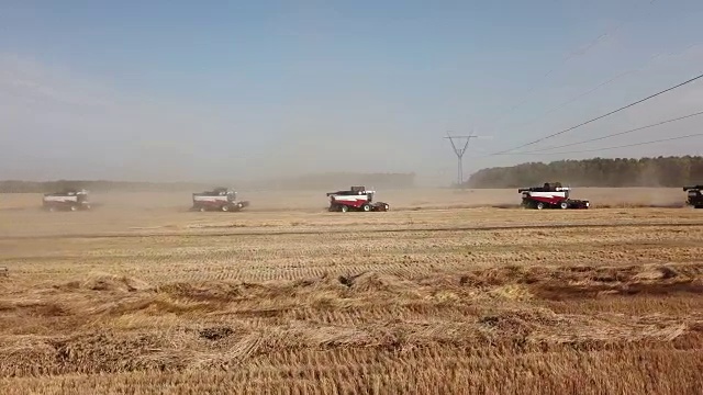 收割机收割小麦视频素材画面4