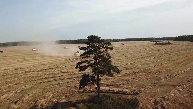 田间收获视频素材画面2
