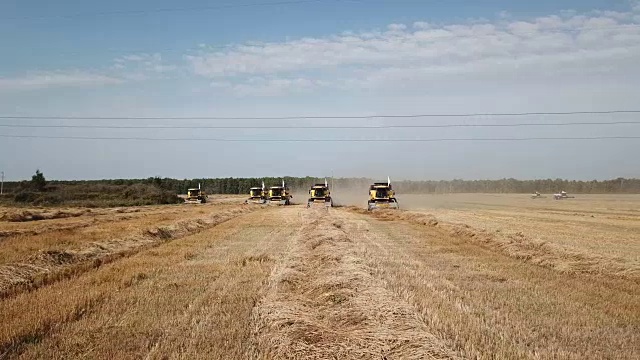 收割机收割小麦视频素材画面1