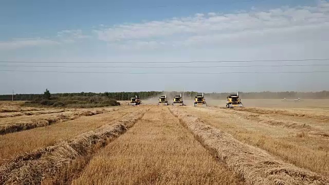 收割机收割小麦视频素材画面3
