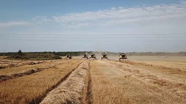 收割机收割小麦视频素材画面4