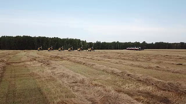 田间收获视频素材画面1