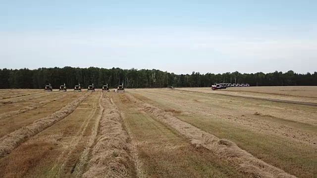 田间收获视频素材画面4