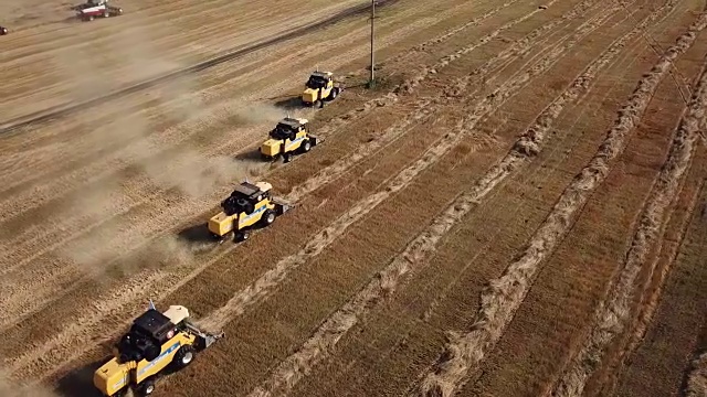 收割机收割小麦视频素材画面4