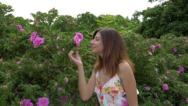 一位妇女走近玫瑰丛，用手拿着一朵花，享受着它的香味视频素材画面2