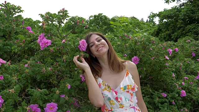 一位妇女走近玫瑰丛，用手拿着一朵花，享受着它的香味视频素材画面4