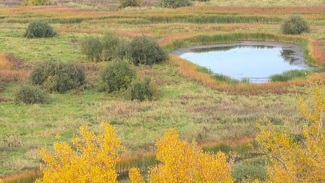 风景优美的秋季景观有丰富多彩的树木、草地和其他植被。从上面俯瞰美丽的湖景。视频素材画面1