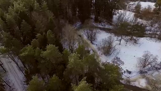 鸟瞰图美丽的纹理森林下的雪在爱沙尼亚。视频素材