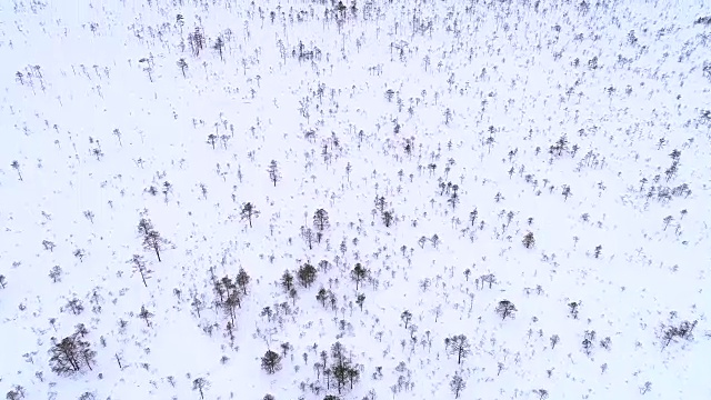 爱沙尼亚被雪覆盖的北欧景观鸟瞰图。视频素材