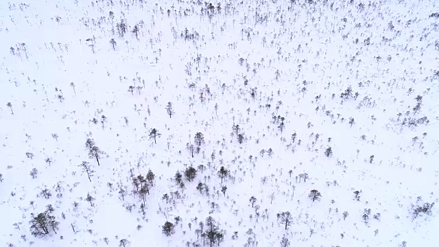 爱沙尼亚被雪覆盖的北欧景观鸟瞰图。视频素材