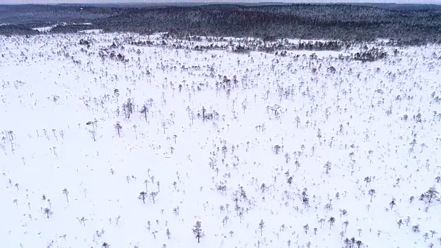 爱沙尼亚被雪覆盖的北欧景观鸟瞰图。视频素材