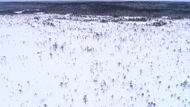 爱沙尼亚被雪覆盖的北欧景观鸟瞰图。视频素材