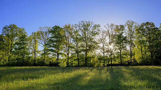 春天日出的草地和森林，戈特斯多夫，Walldürn，奥登瓦尔德，Baden-Württemberg，德国视频素材