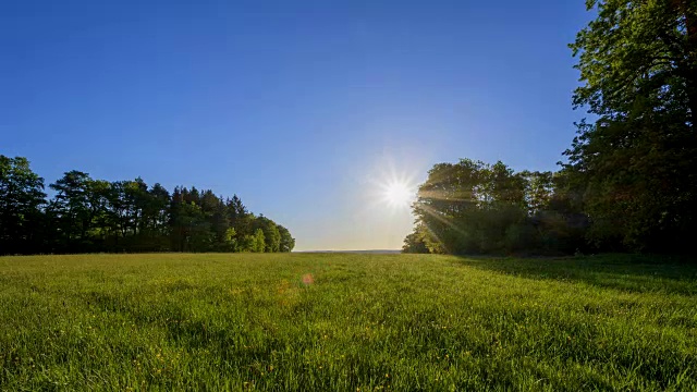 春天森林空地上的日出，戈特斯多夫，Walldürn，奥登瓦尔德，Baden-Württemberg，德国视频素材