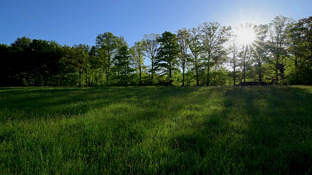 春天日出的草地和森林，戈特斯多夫，Walldürn，奥登瓦尔德，Baden-Württemberg，德国视频素材