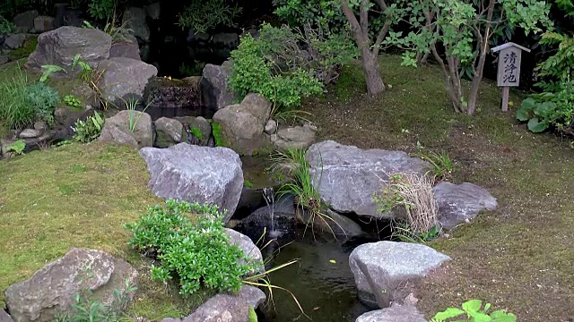 一个安静的日式花园中的小池塘视频素材