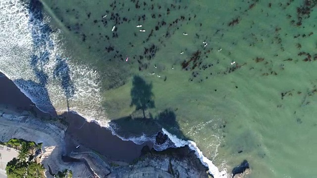 加州圣克鲁斯海滩上，冲浪者从空中升起的鸟瞰图视频素材