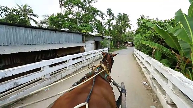 路上的马视频素材画面1