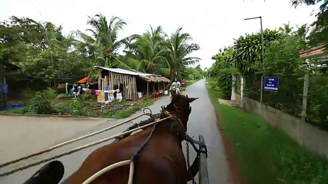 路上的马视频素材画面3