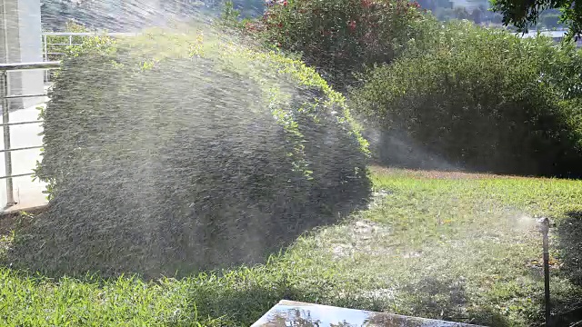 在一个阳光明媚的夏日，花园洒水器在给绿色的草坪浇水视频素材