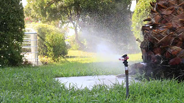 在一个阳光明媚的夏日，花园洒水器在给绿色的草坪浇水视频素材