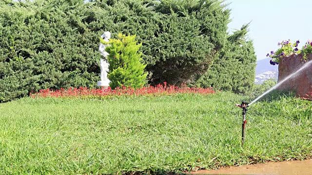 洒水器在阳光明媚的夏日给草地浇水视频素材